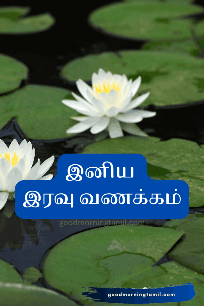 Good Night Tamil Quotes