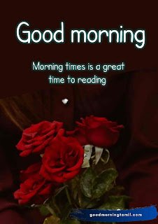 Good morning messages for girlfriend