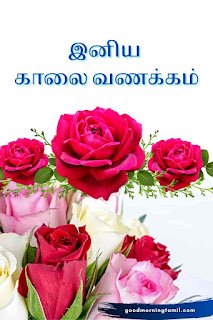 Good morning Tamil people