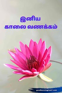 morning wishes in tamil