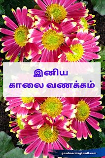 Good morning Tamil motivational quotes