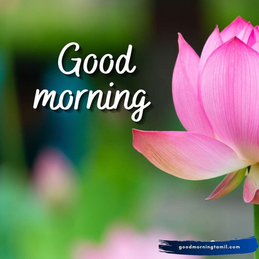 good morning messages for son good morning messages for son