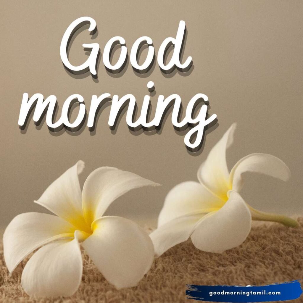 good morning messages for son Good Morning Quotes for Son from Mother