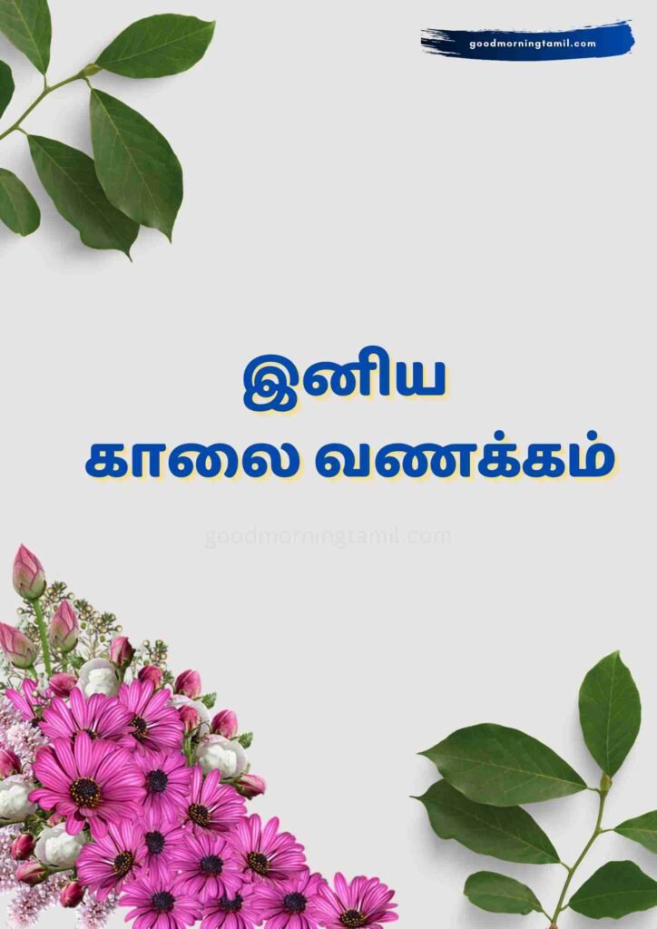 காலை வணக்கம் தமிழ் படங்கள் வாட்ஸ்அப்