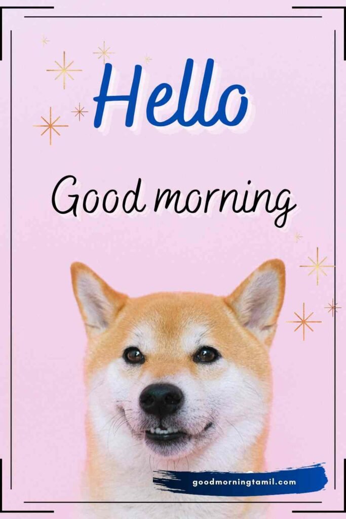 Tamil Morning Wish Status