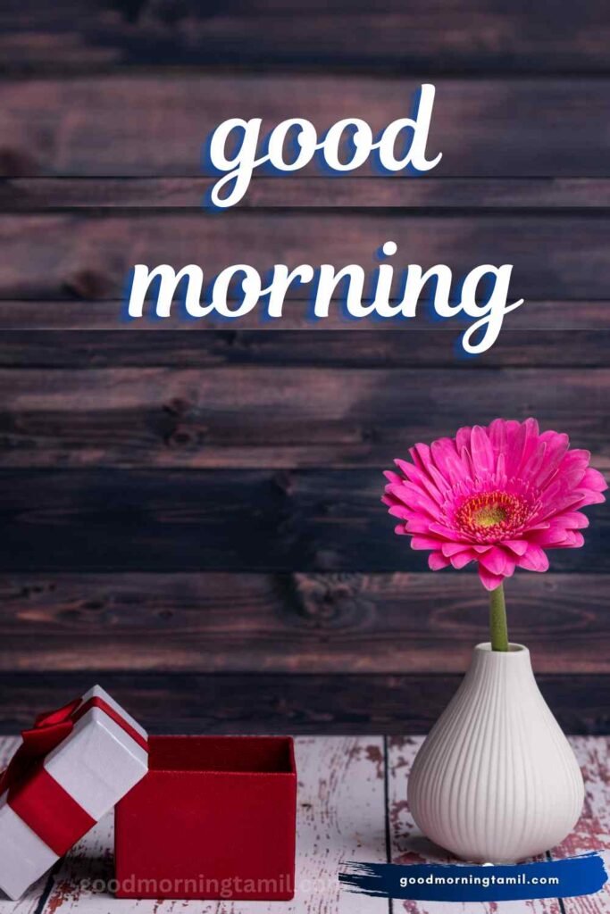 good morning sticker whatsapp good morning sticker whatsapp