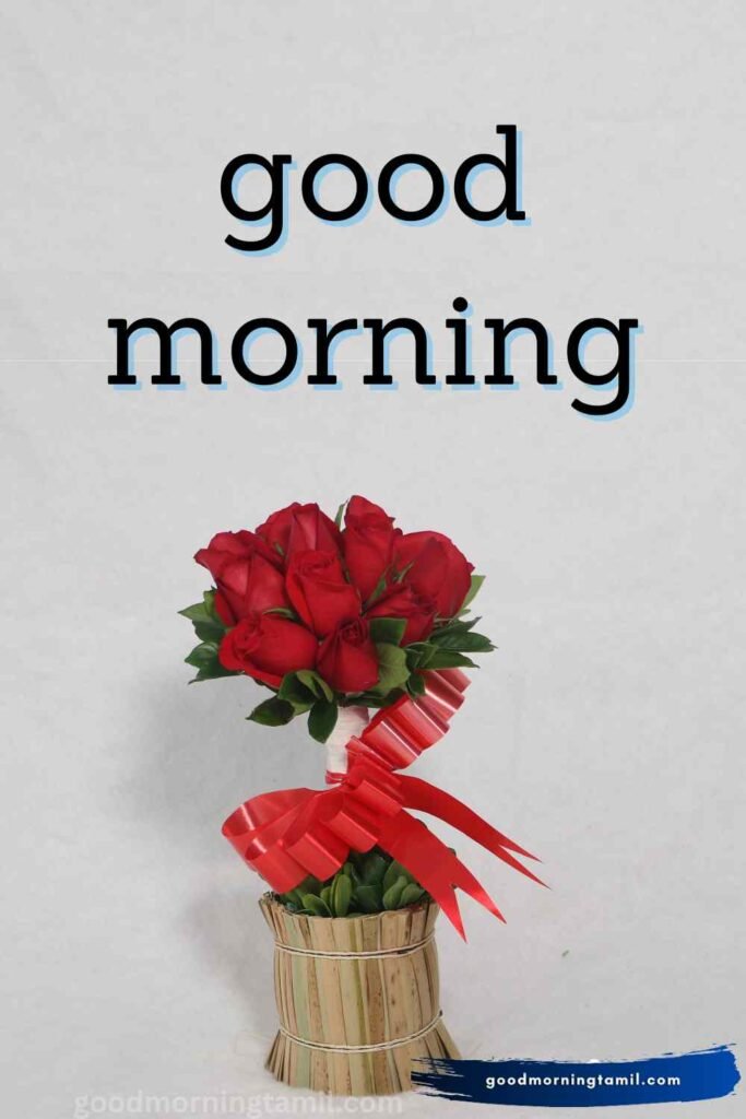 good morning sticker whatsapp good morning sticker whatsapp