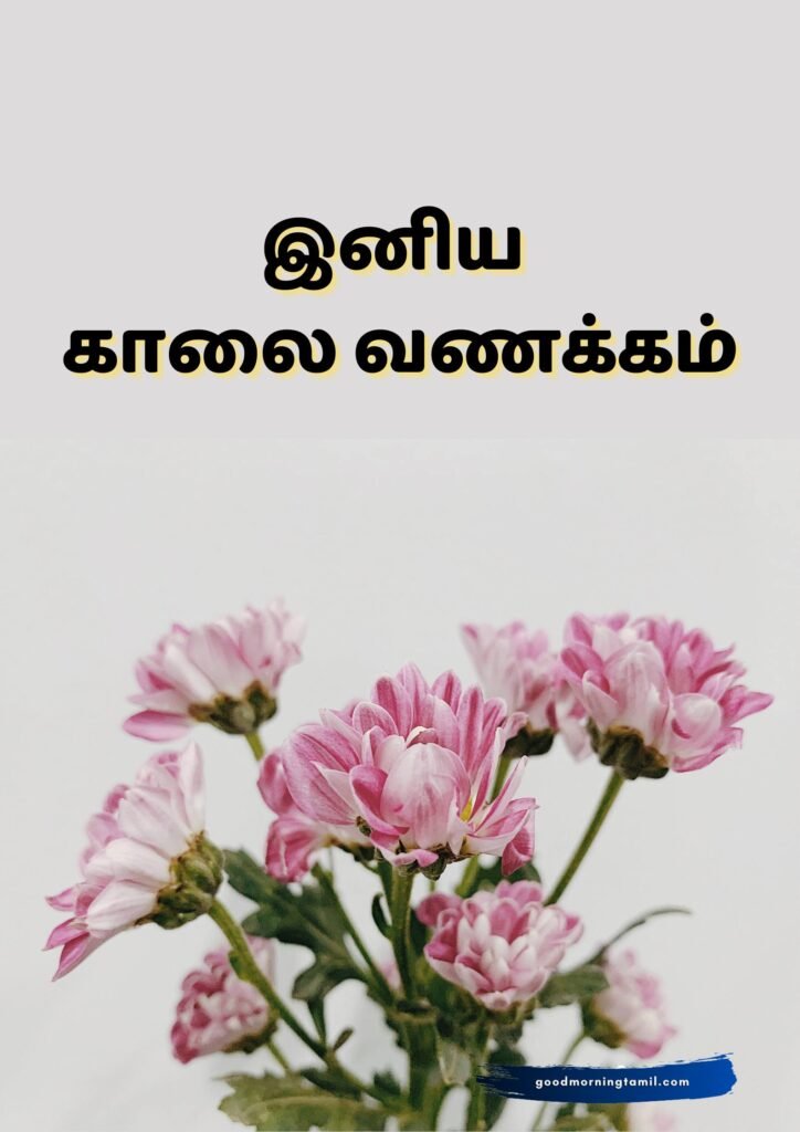tamil motivational good morning quotes tamil motivational good morning quotes