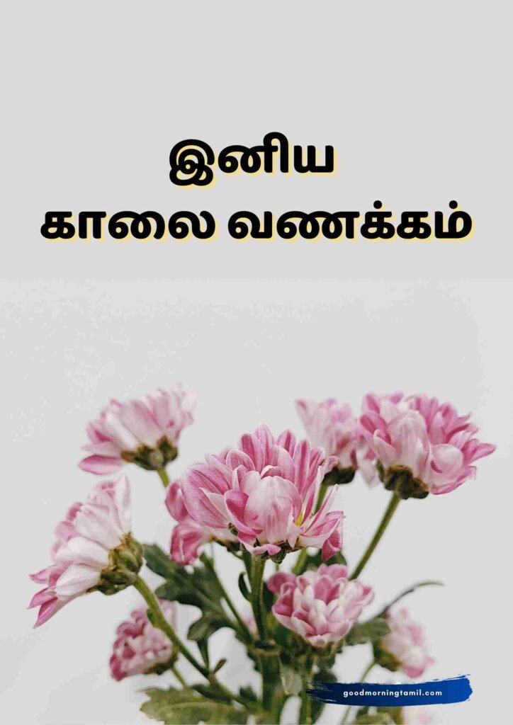 Good Morning Tamil Images WhatsApp காலை வணக்கம் தமிழ் படங்கள்